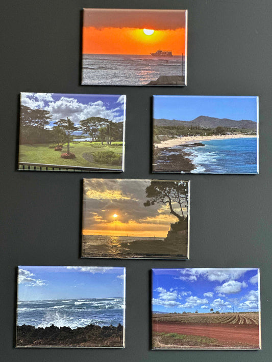 Set of six Hawaii photos made into magnets on a fridge.