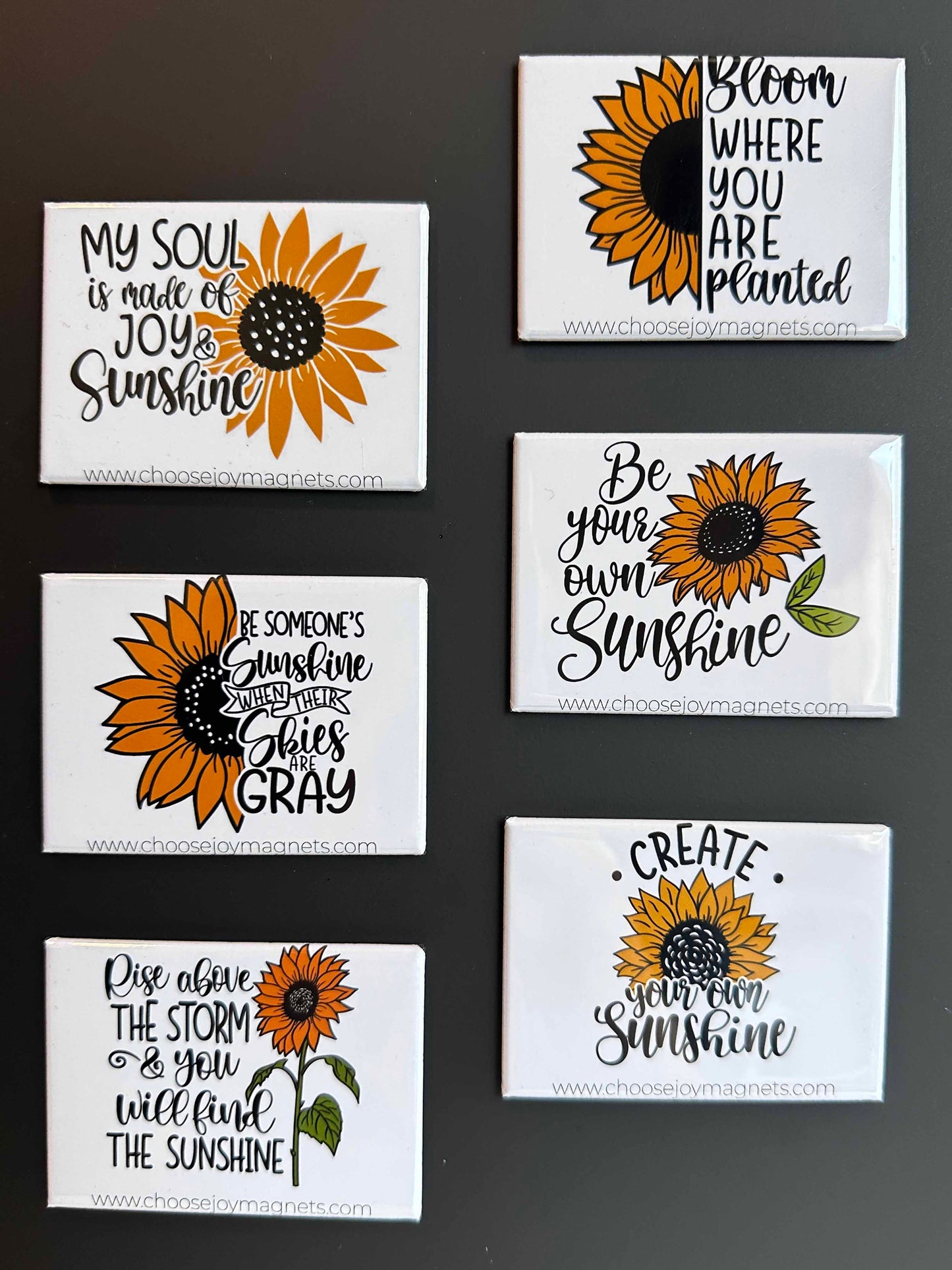 6-pack of Custom Photo Magnets - 2x3"